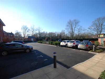 Picture 12